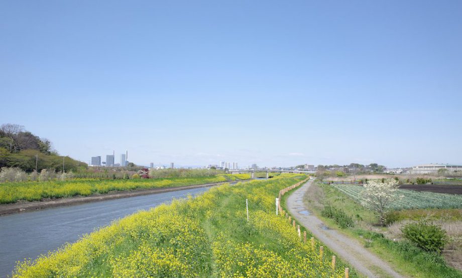 埼玉県で極上スイーツを食べたい Food Field Creative フードビジネスコンサルタント